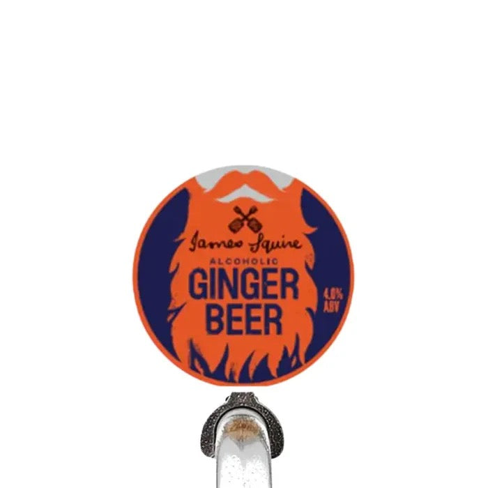 James Squire Alc Ginger Beer Keg 49.5L