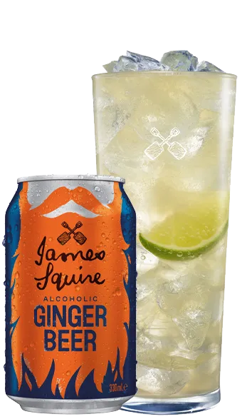 James Squire Ginger Beer Can 330ml x 24